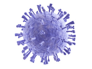H1N1 Virus (Swine Flu)